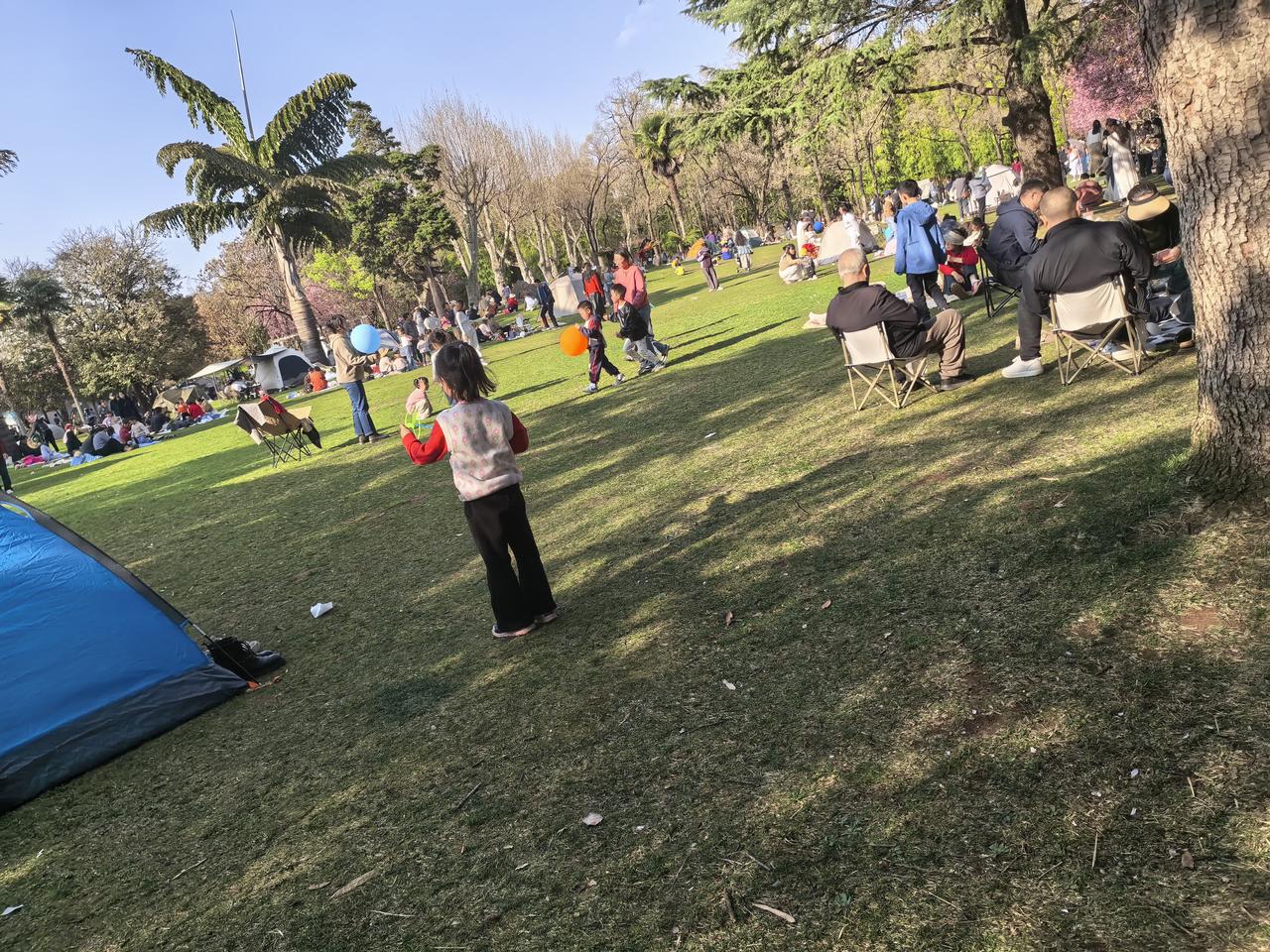 坐在自带的户外垫上，找一处荫凉区，带点吃的喝的，看看蓝天花草，想起这几天外面的事