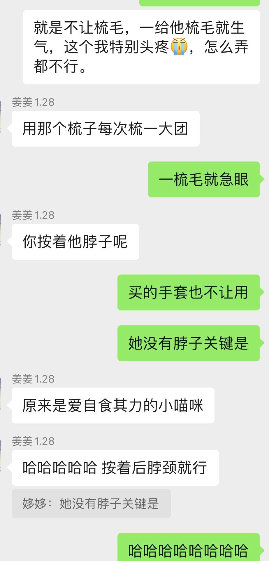 每天给这辆无脖爱心专车梳毛就是P3模样但每次汎汎公主奶多牛少这一面路过我时都像给