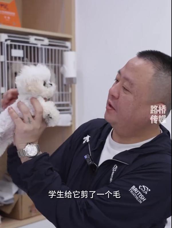 17年深耕做宠美行业的守艺人在台州路桥的宠美行业中，刘磊以17年匠心坚守，深耕宠