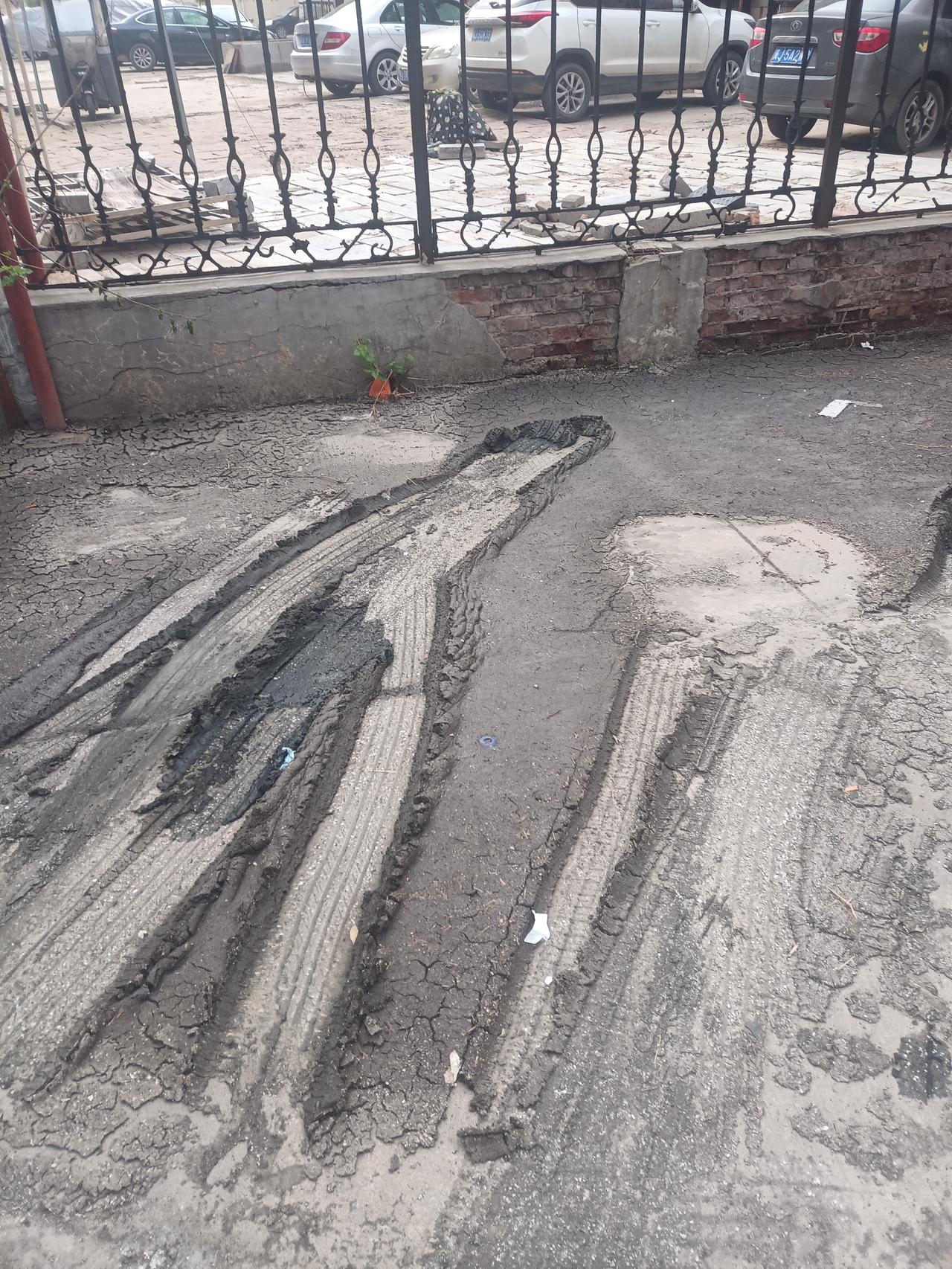 空气中依然有一股臭烘烘的怪味，地上的黑东西有的地方干了，卷起了边，像鱼的鳞片一样