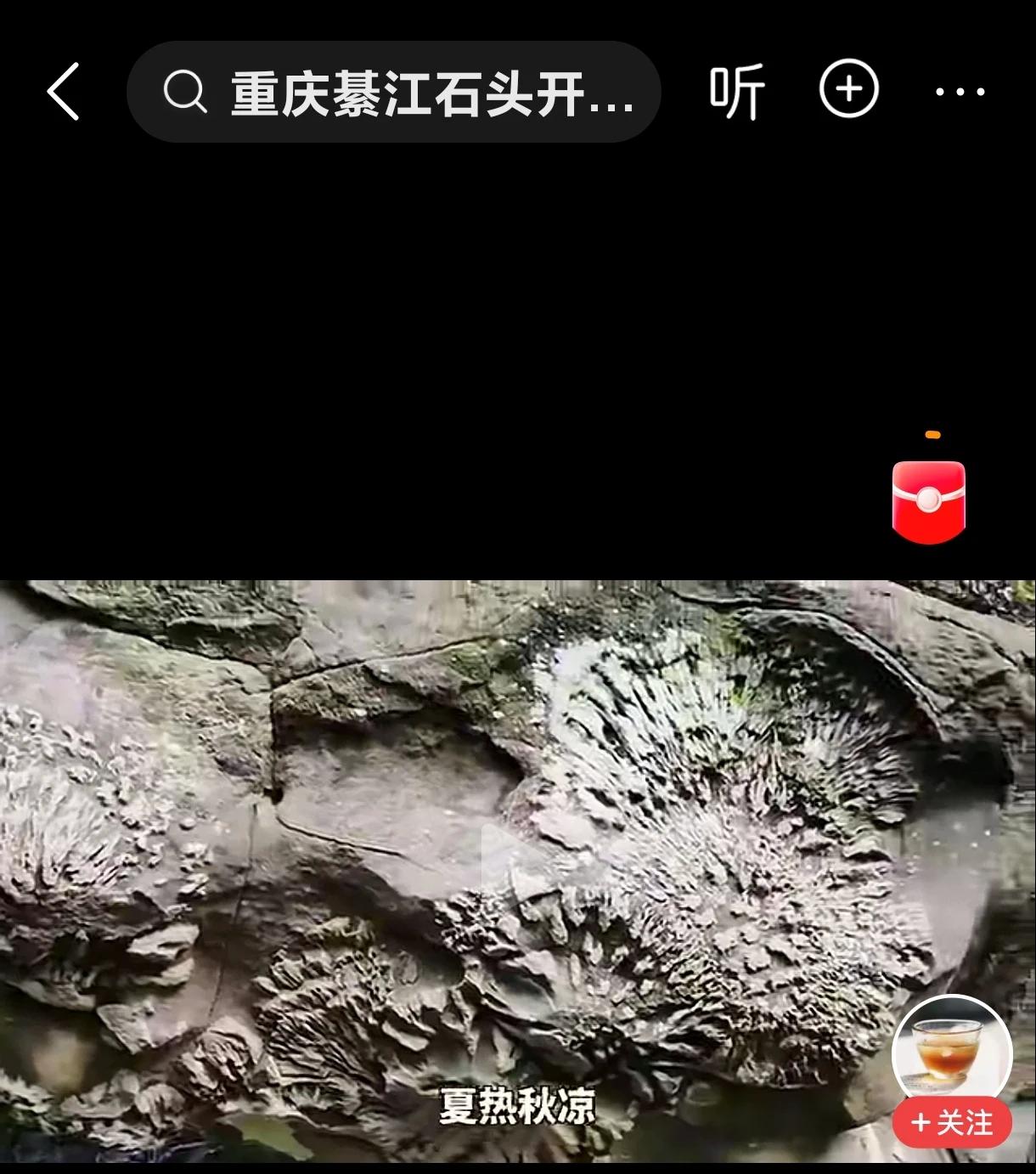 石头开花![捂脸][捂脸]