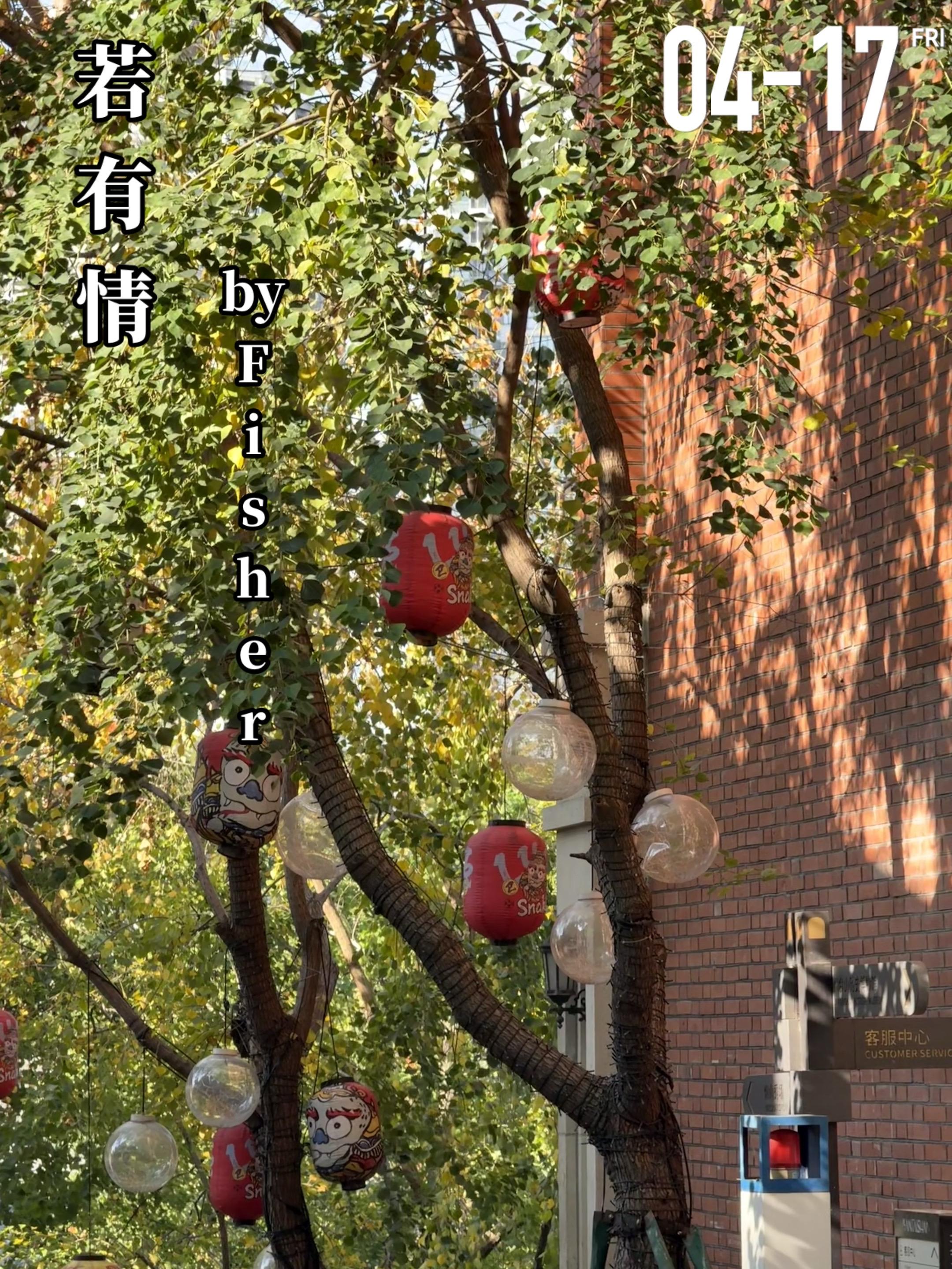 《若有情》by Fisher.柴露萌（女主）是一名网文作者，曾经也是衣...