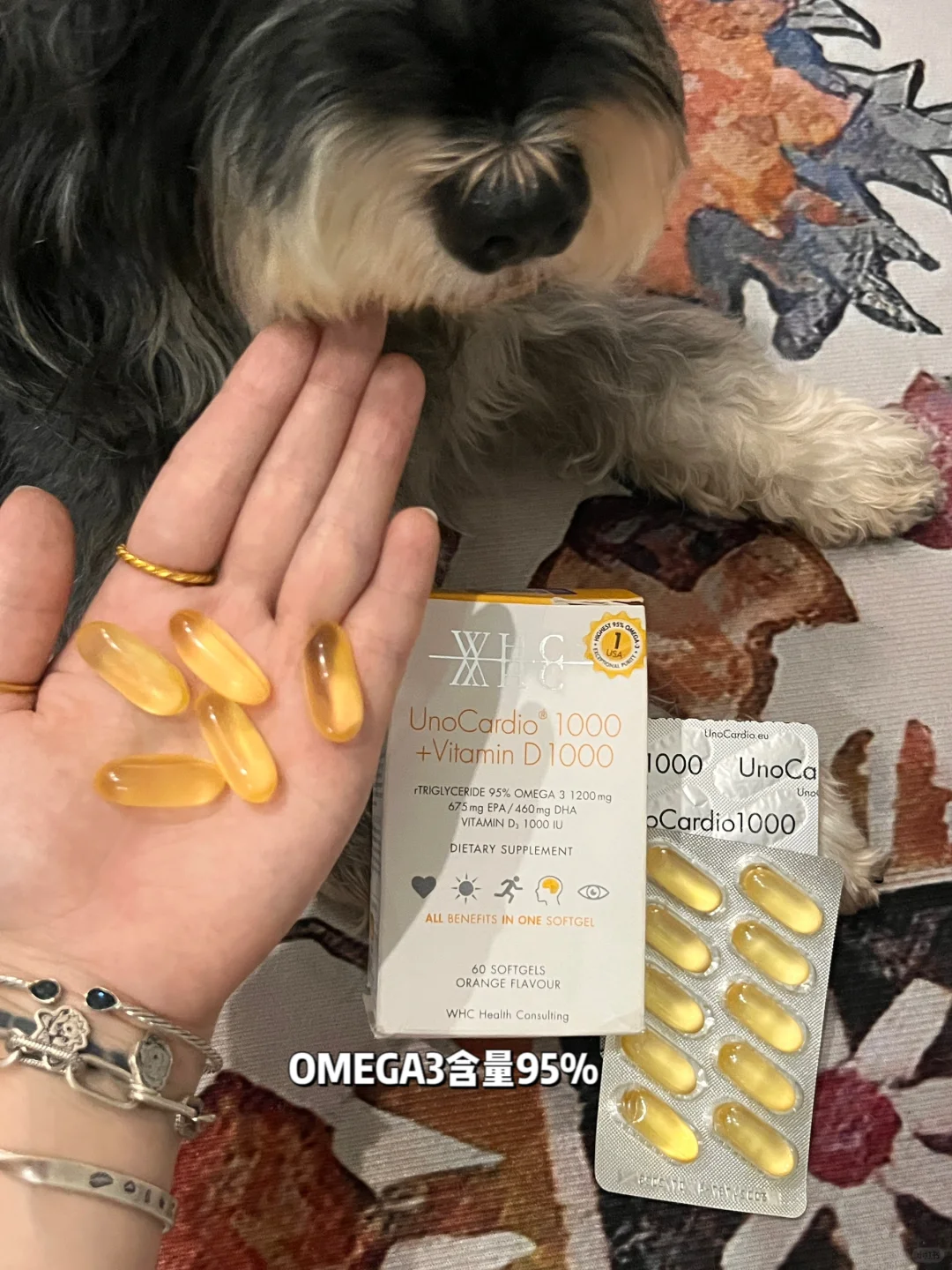 狗狗鱼油到底怎么选？