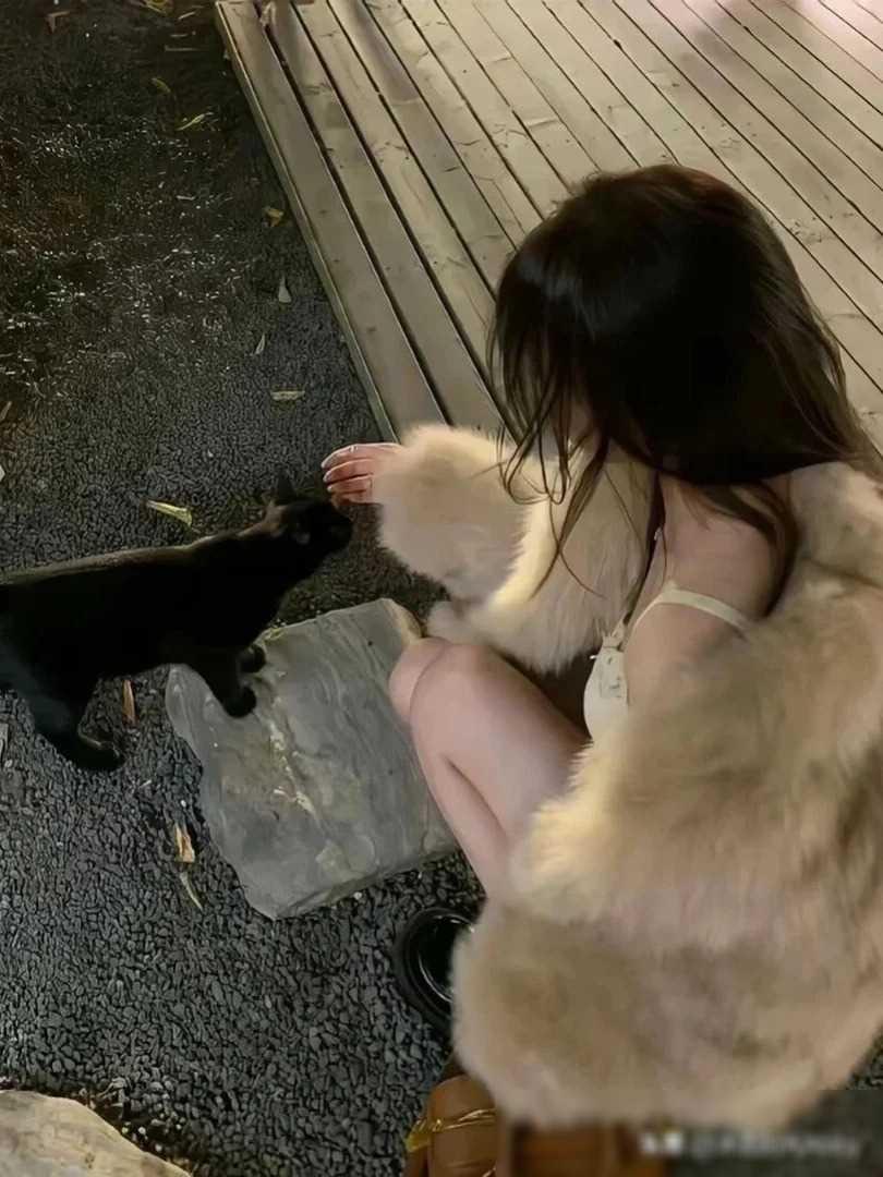 近来我留心观察了一些家庭，发现了一个有趣的现象：夫妻感情好的家庭，基本上都有一个