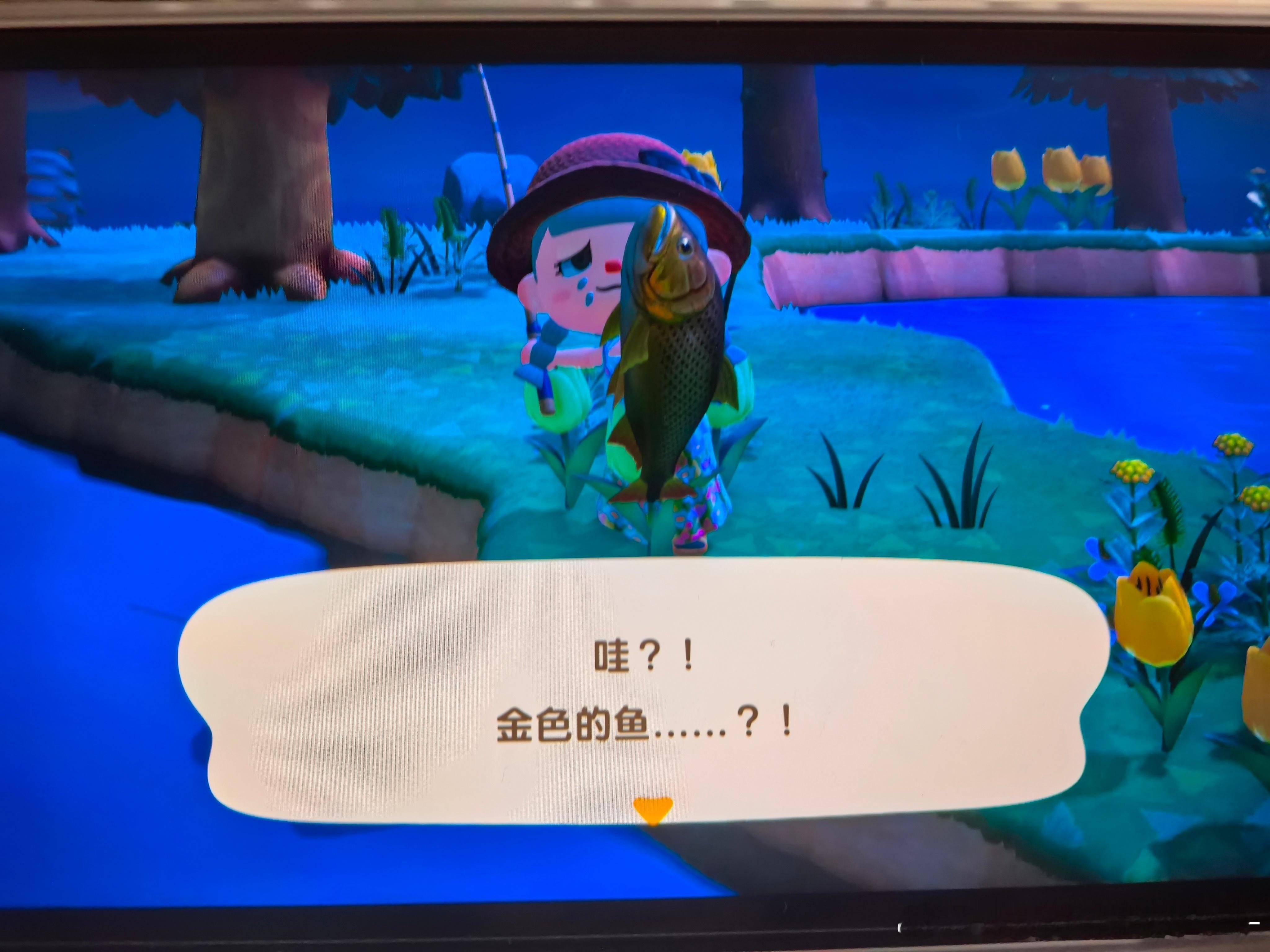 钓到了金色的鱼！ 
