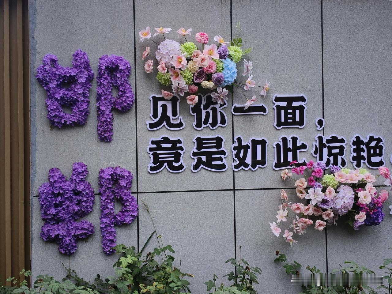 晒图笔记大赛 惊艳的紫色花墙，遇见你一面，如此惊艳！💜🌸