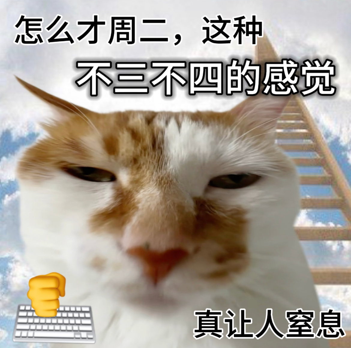 家人们早～今天星期✌️ ，万事都ᵒᵏᵎᵎ早安北京下雪