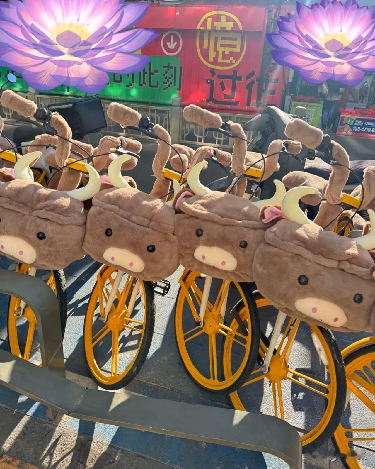知道大东北冷，可是没想到共享单车都换新衣了，这算不算是新年新气象呢！

看着黄色
