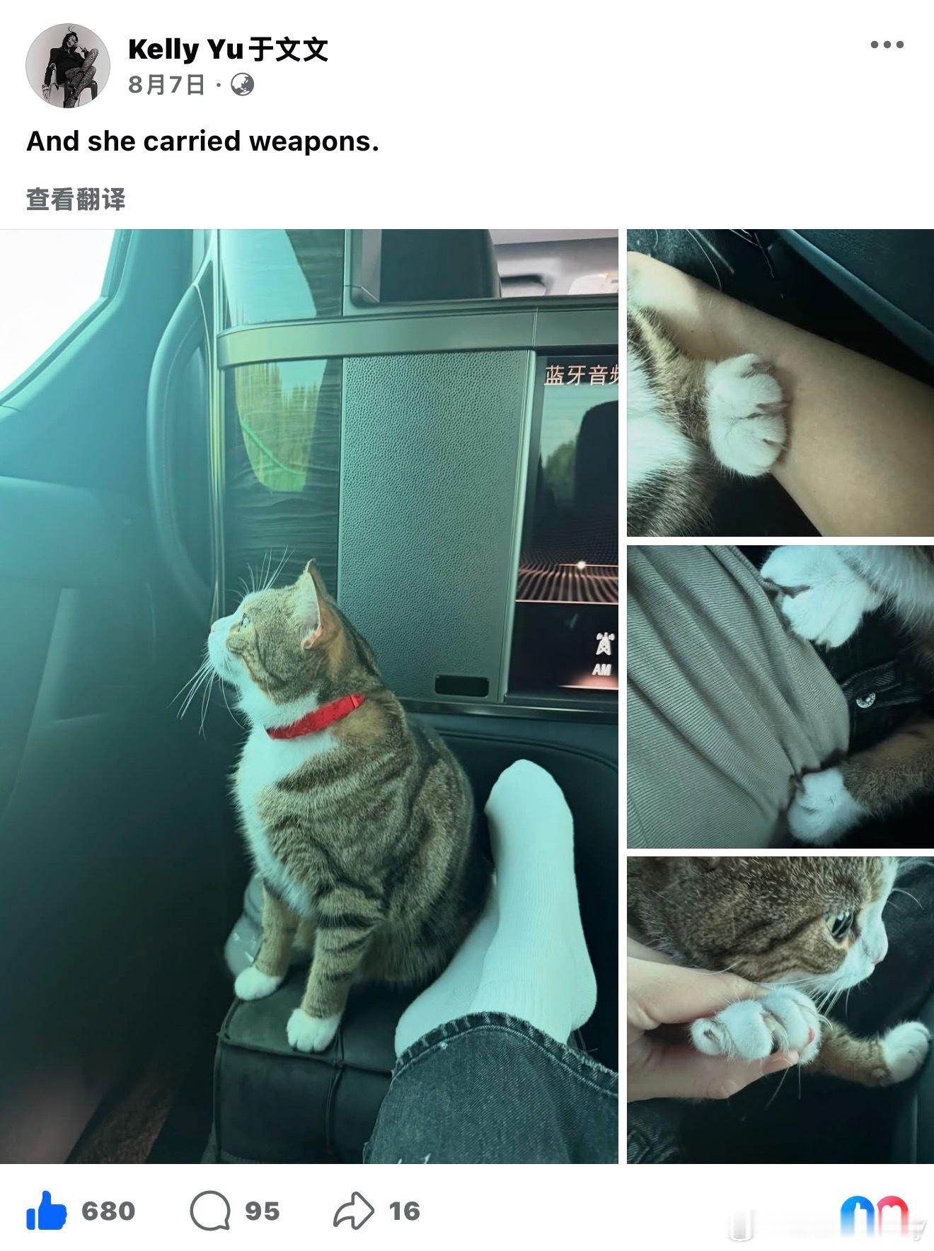 于文文  八月行程及物料整理0802 丢丢的口袋：恩雅侧拍花絮live0803 