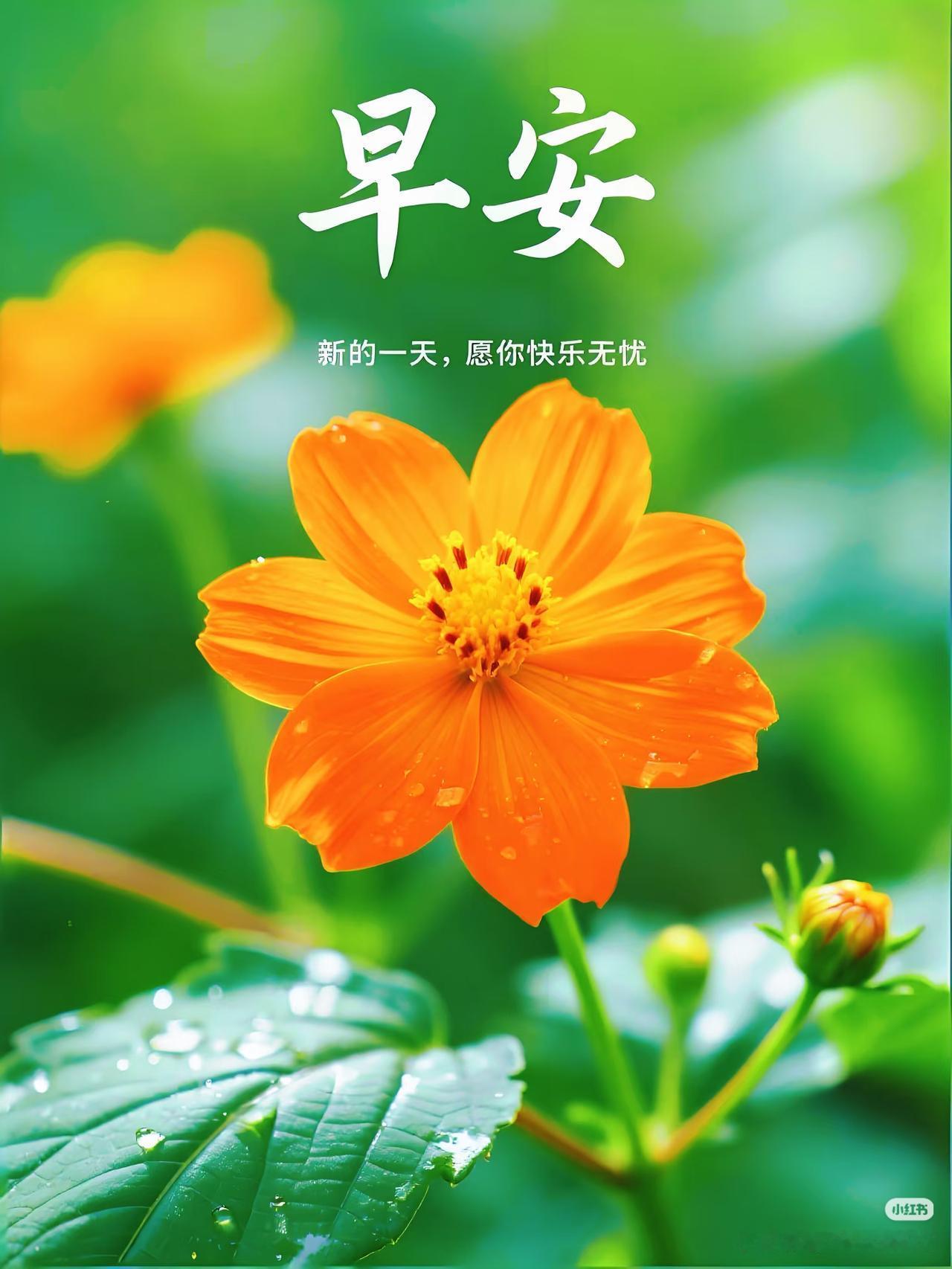 早上好，今天是10月10日星期六。
网上最新看到李盈莹的几幅图片，一幅是有网友看