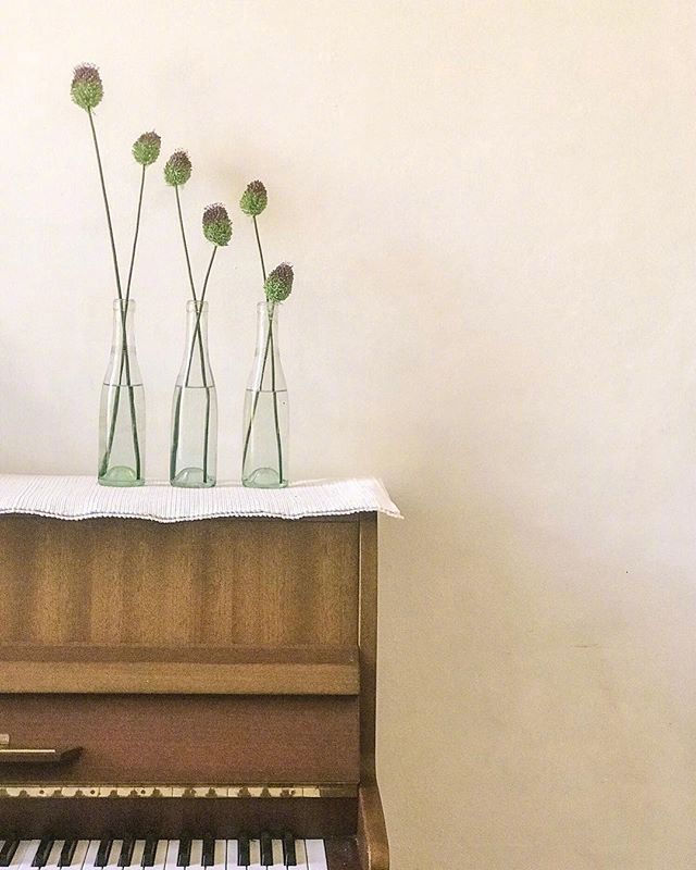 年幼时，不懂得等待。年轻时，懂得了等待。渐渐明白凡是大事、好事，都需要耐心等待。