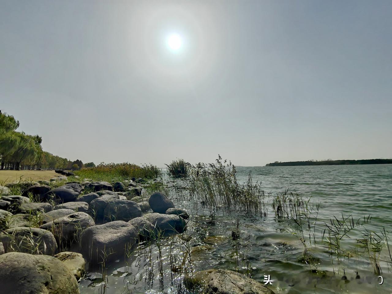 这确实是一个安静与发呆的好地方。（拍摄于东太湖国家生态旅游度假区）