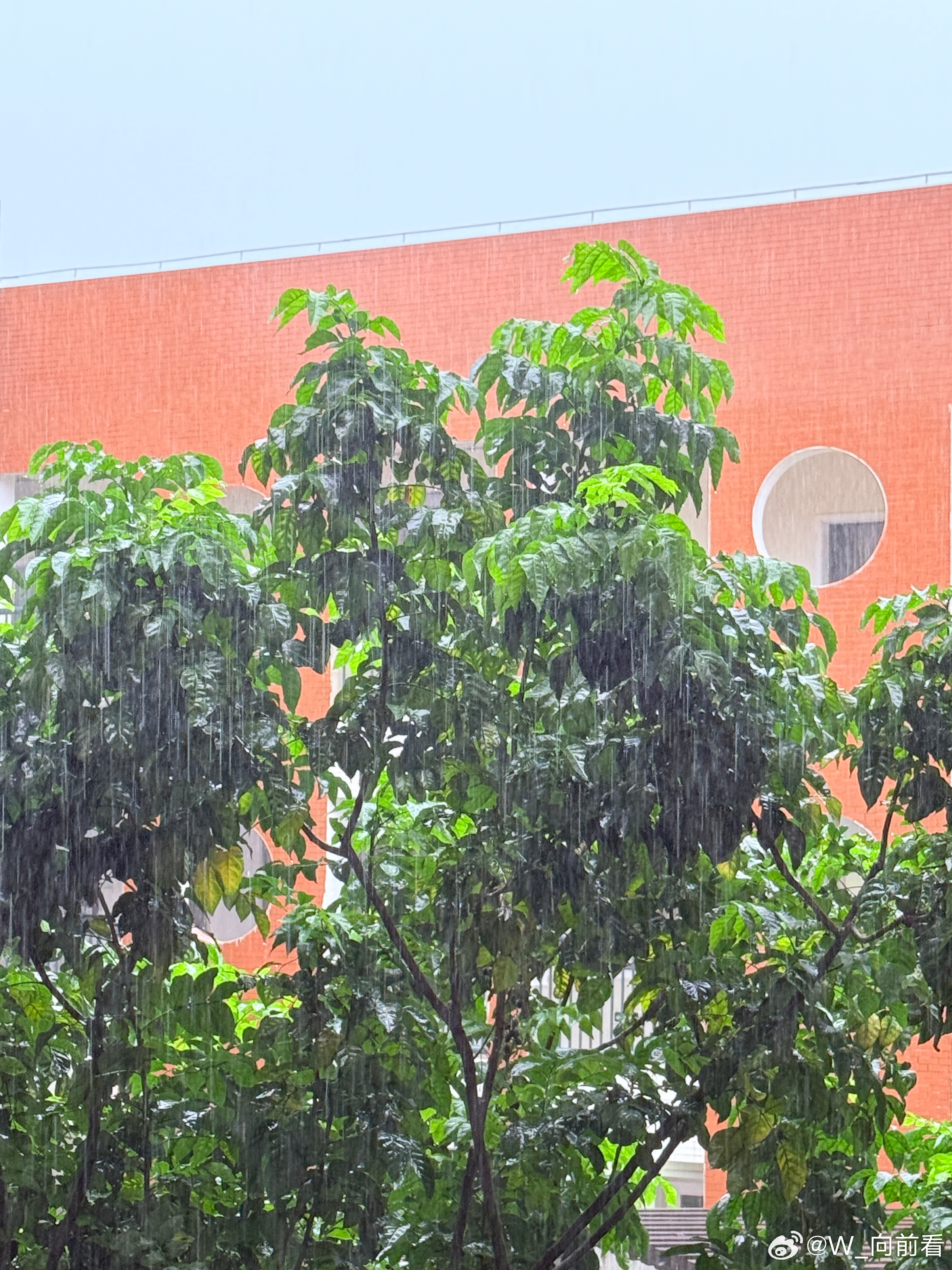 每天午后都会下雨…… 