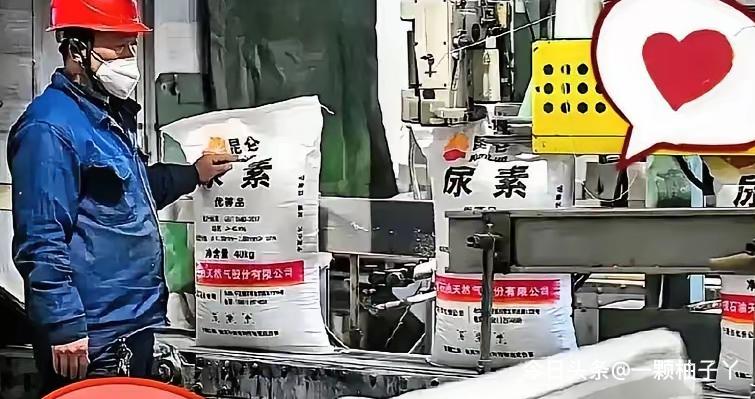 霍尔木兹海峡局势紧张，中东尿素出口受阻，国际价格一路飙升，谁也没料到，远在西北的