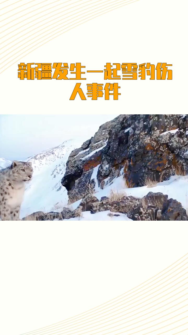 1月23日，新疆可可托海景区外发生一起雪豹伤人事件，一名滑雪游客不幸被咬，但目前