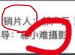 易小雅→易小难制片人→销片人便丝不仅没脸没皮还是文盲。 