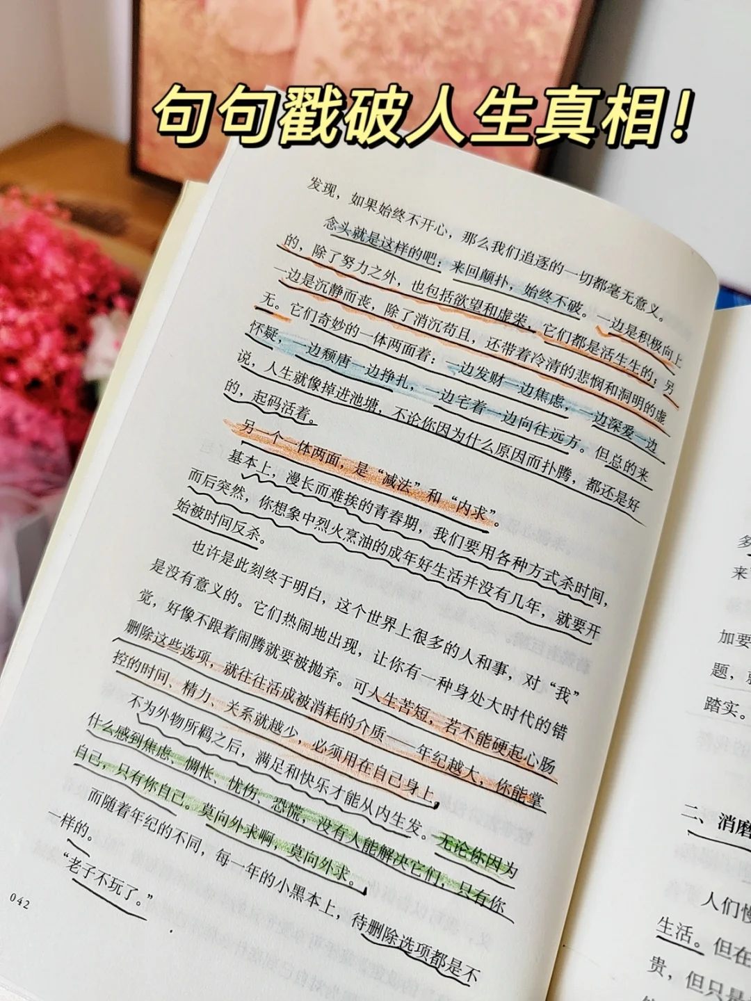 大半夜看哭了😭😭句句戳破人生真相！
