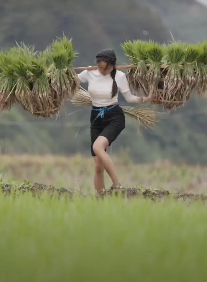 田间劳作的少女，背起丰收的喜悦，劳动的形象是最美，在山区肩挑人抬的场面，是非常可