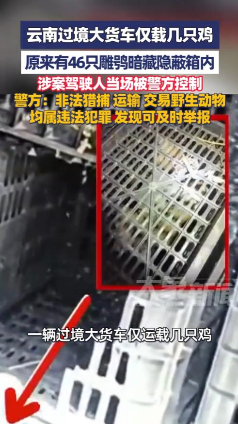 惊出一身冷汗！5月8日，西双版纳勐润边境派出所传来紧急消息，执勤民警凭一双火眼金