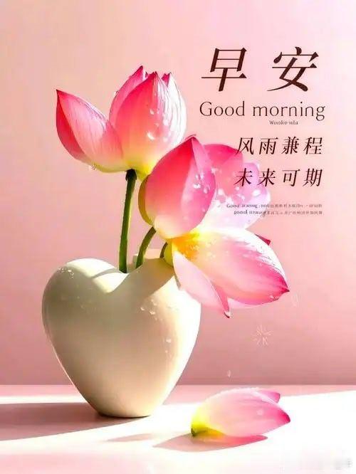 早安朋友们 