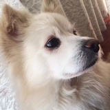 林深最爱科技