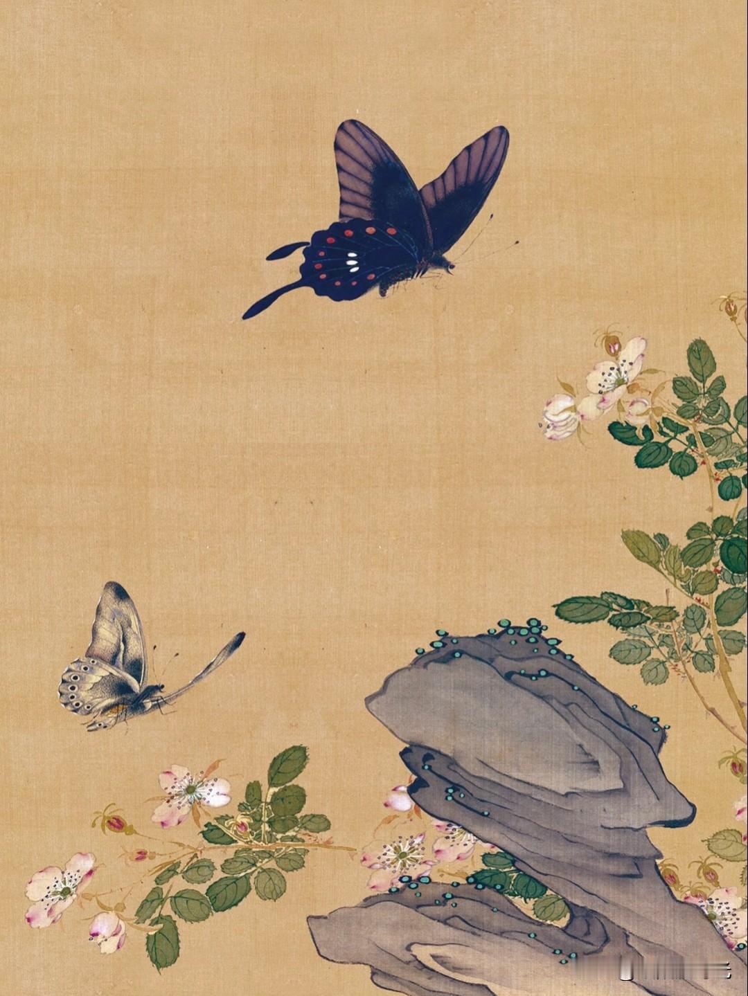 彩蝶翩跹，勾勒东方工笔的浪漫意境。
亮子丨拾光贴宋末元初花鸟图分享
国画 工笔画