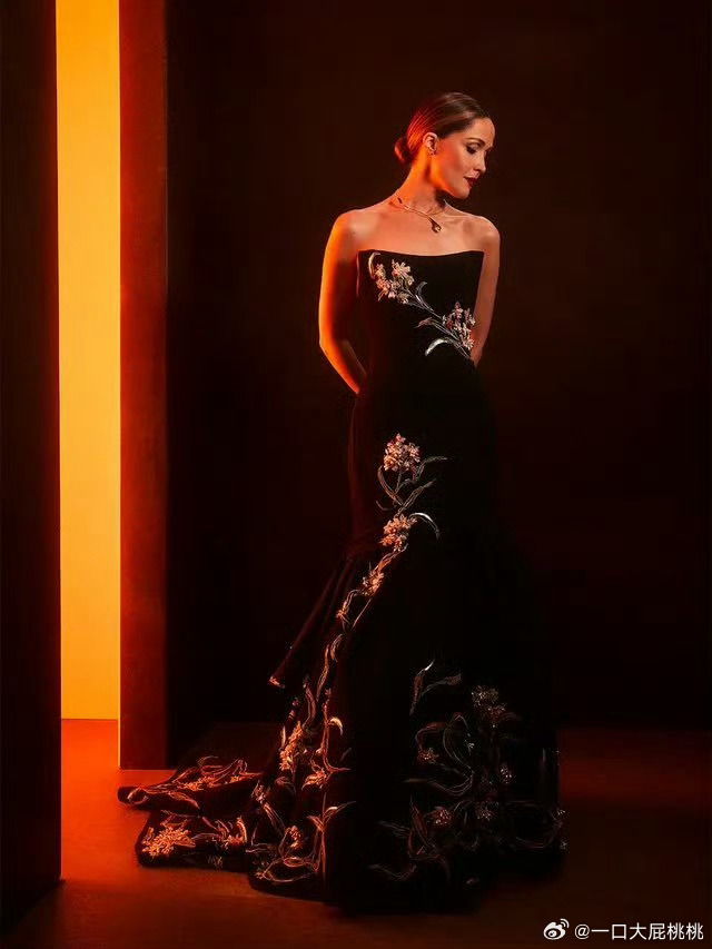 《如果有腿，我会踢你》最佳女主角的Rose Byrne身穿Dior by Jon