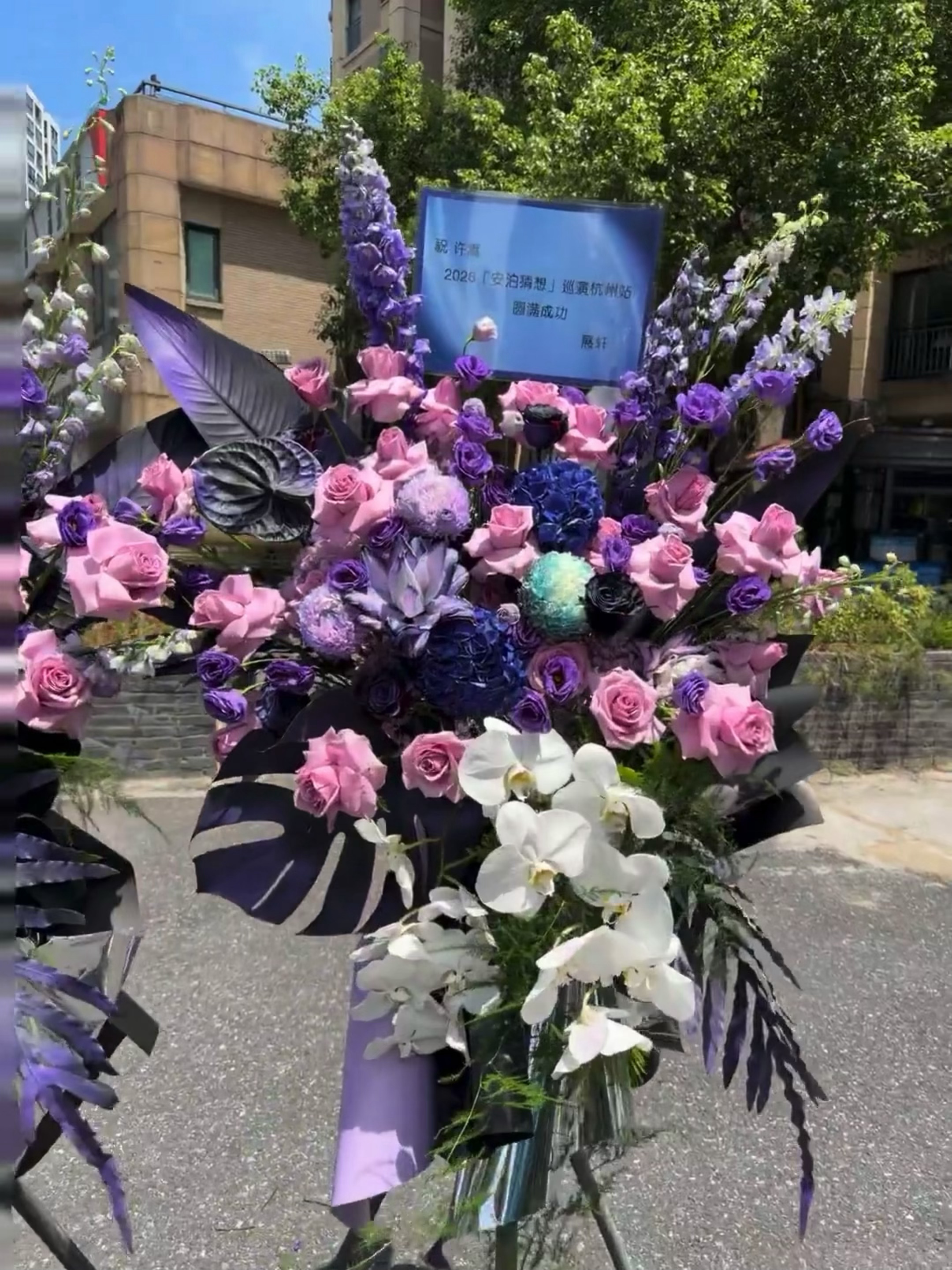 哈哈哈哈迷弟展轩送给许嵩老师的应援花篮💜 