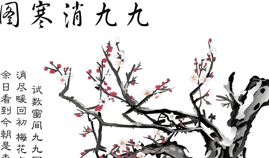 一块写了九个字的神秘牌子，让民国工作人员懵了很久
1924年11月5日下午4点，