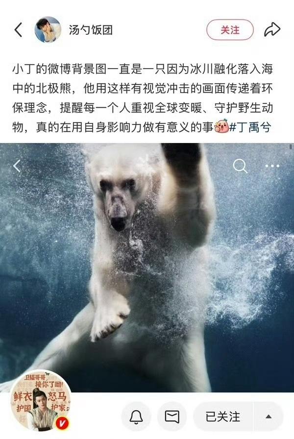 丁禹兮又闷声干大事 ，小丁一直用自己的影响力影响更多的人，一直在以实际行动为环保