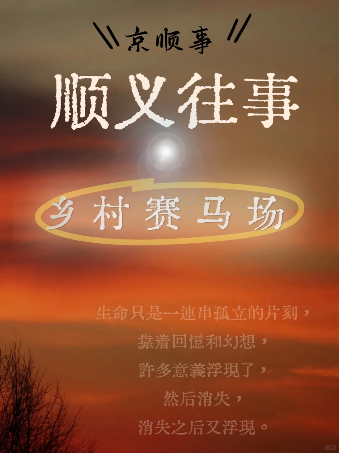 顺忆时光▪顺义乡村赛马场