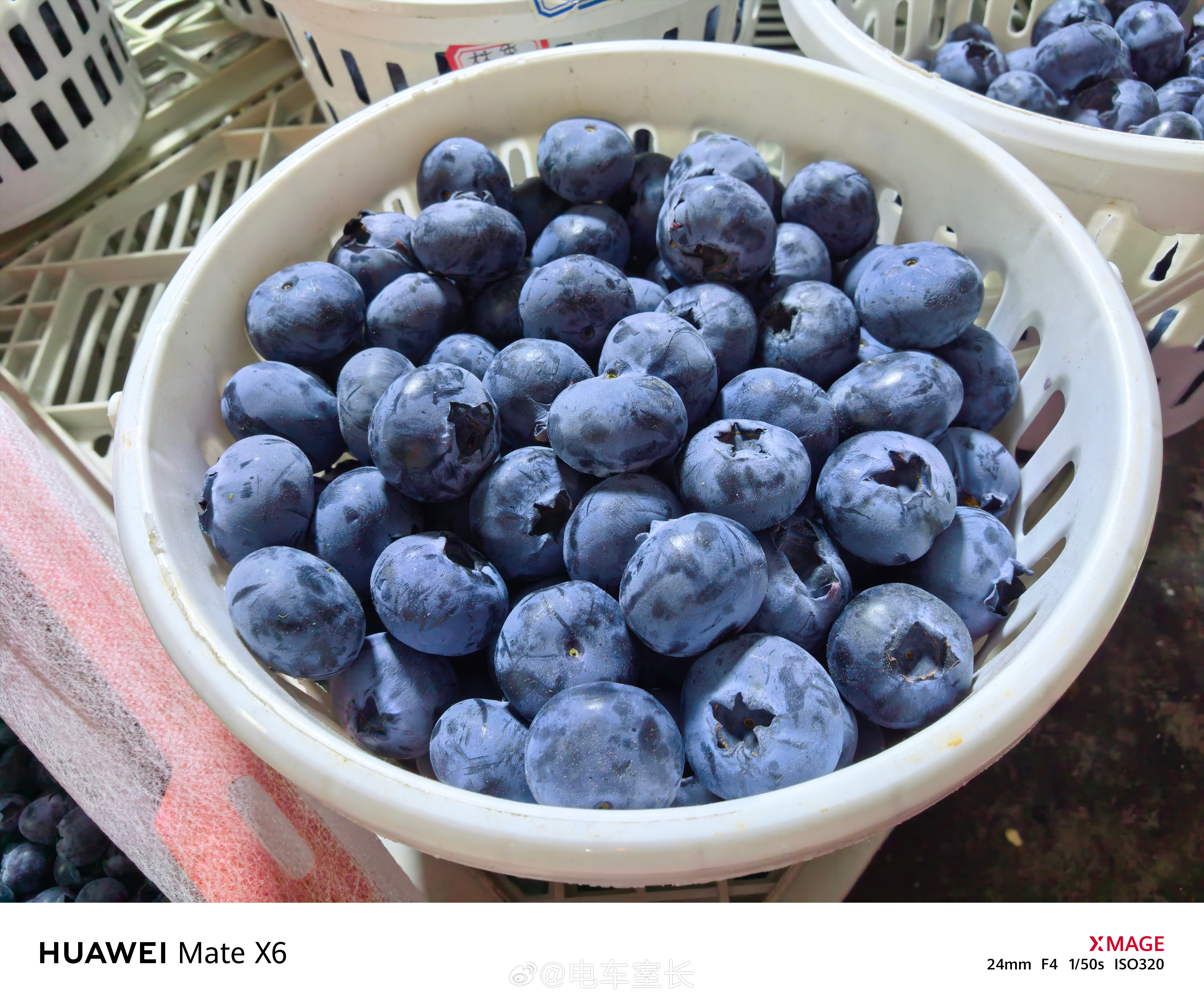 粉色蓝莓在云南待了那么久也没见过粉丝蓝莓，这个东西应该就和白色草莓一样完全是为了