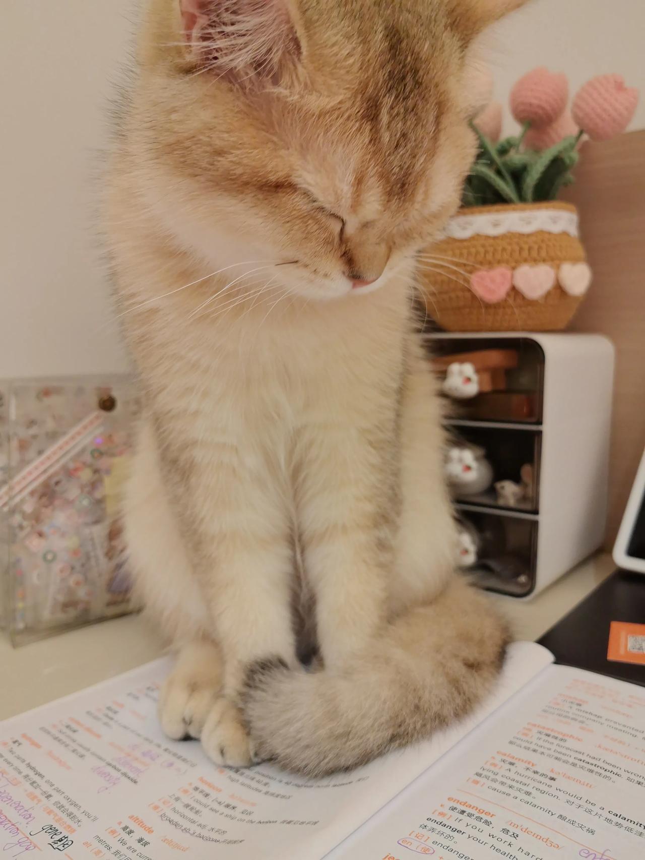 你认为属于你的幸福是什么