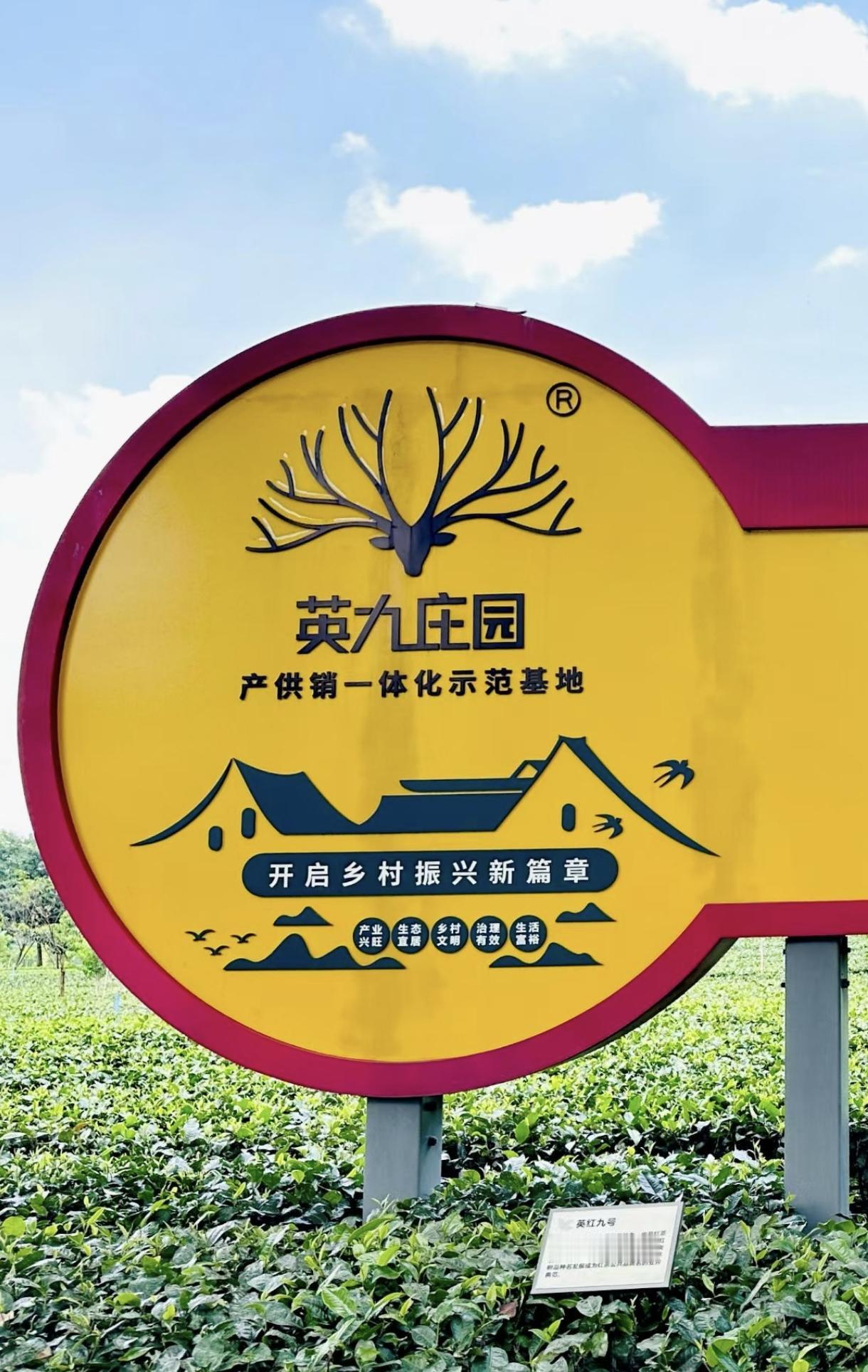 广州有文德，佛山有顺德，清远有英德，文德买文房四宝，顺德有美食，英德有茶园，最好