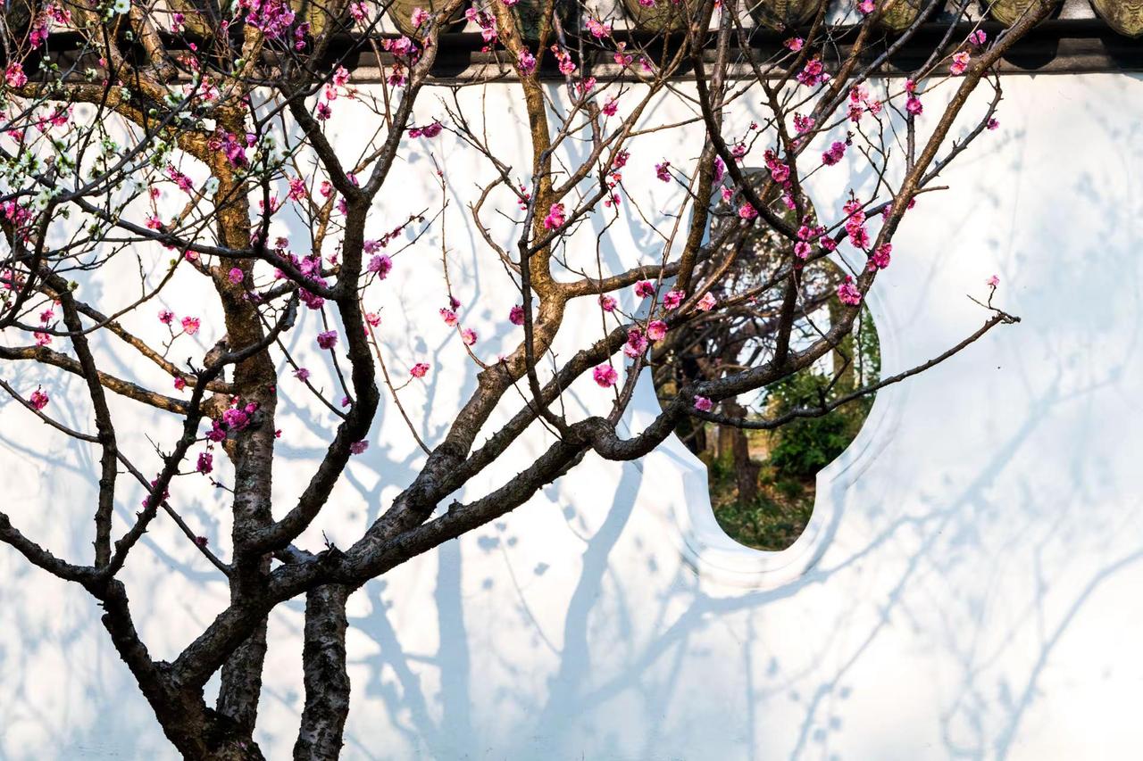 南京明孝陵红楼艺文苑。南京明孝陵红楼艺文苑