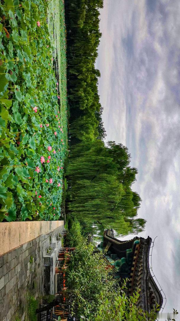 【颐和园 延赏斋】水有秋容莲渐少，树含凉气鸟慵飞。炎天既懒趋城市，从此尤须恋翠微
