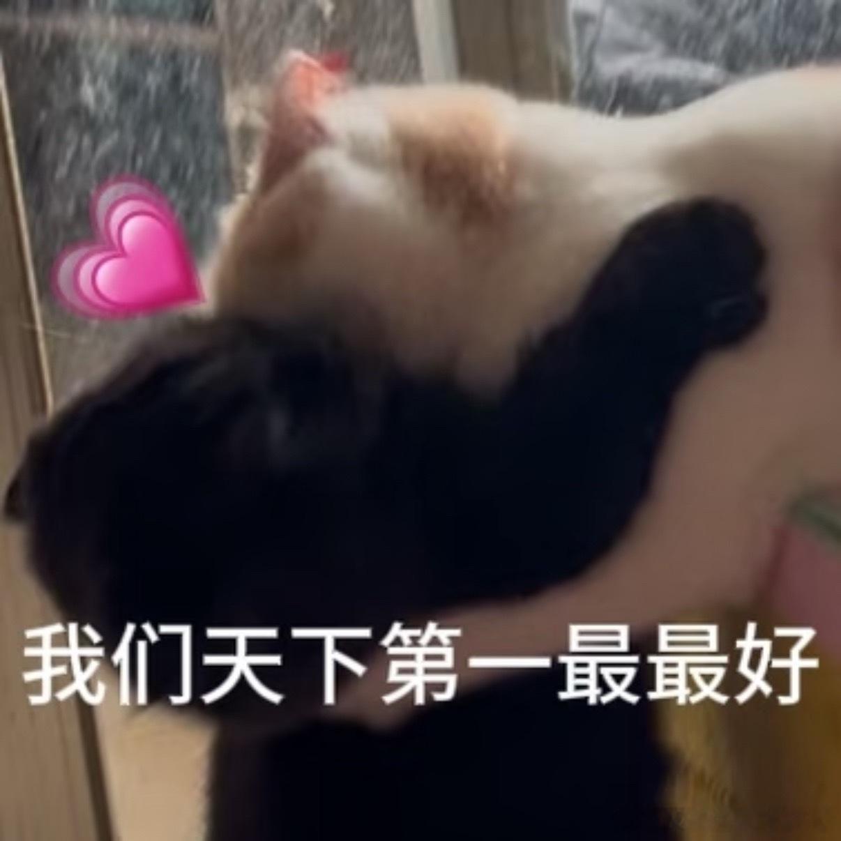 其实我更喜欢姐多直播！因为姐这个小迷糊不经意间会漏很多🍬出来…然后姐夫看姐漏了