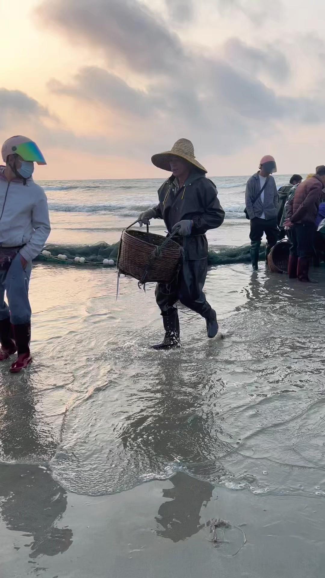 清晨渔船靠岸，小鱿鱼还闪着光，渔民刚喊价就被商贩按15元拿下，众人笑翻。商贩再提