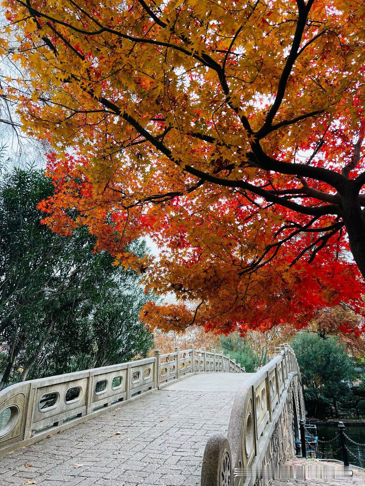 冬日生活打卡季