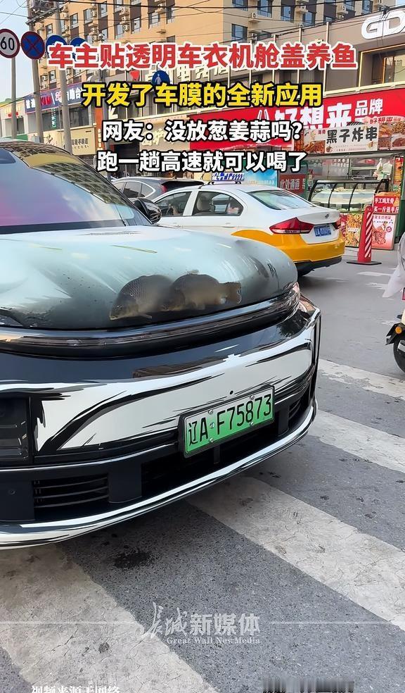 车主贴透明车衣机舱盖养鱼，开发了车膜的全新应用。网友：没放葱姜蒜吗？跑一趟高速就