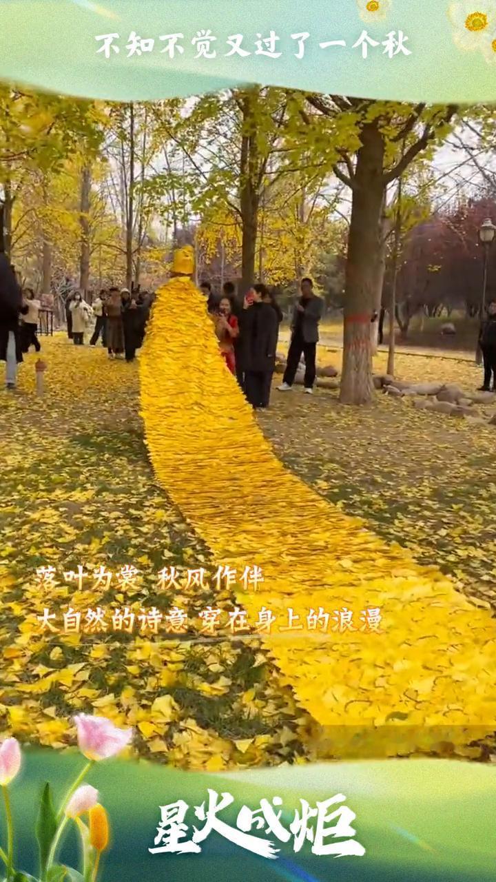 不知不觉又过了一个秋，星火成炬，落叶为裳，秋风作伴，大自然的诗意，穿在身上的浪漫