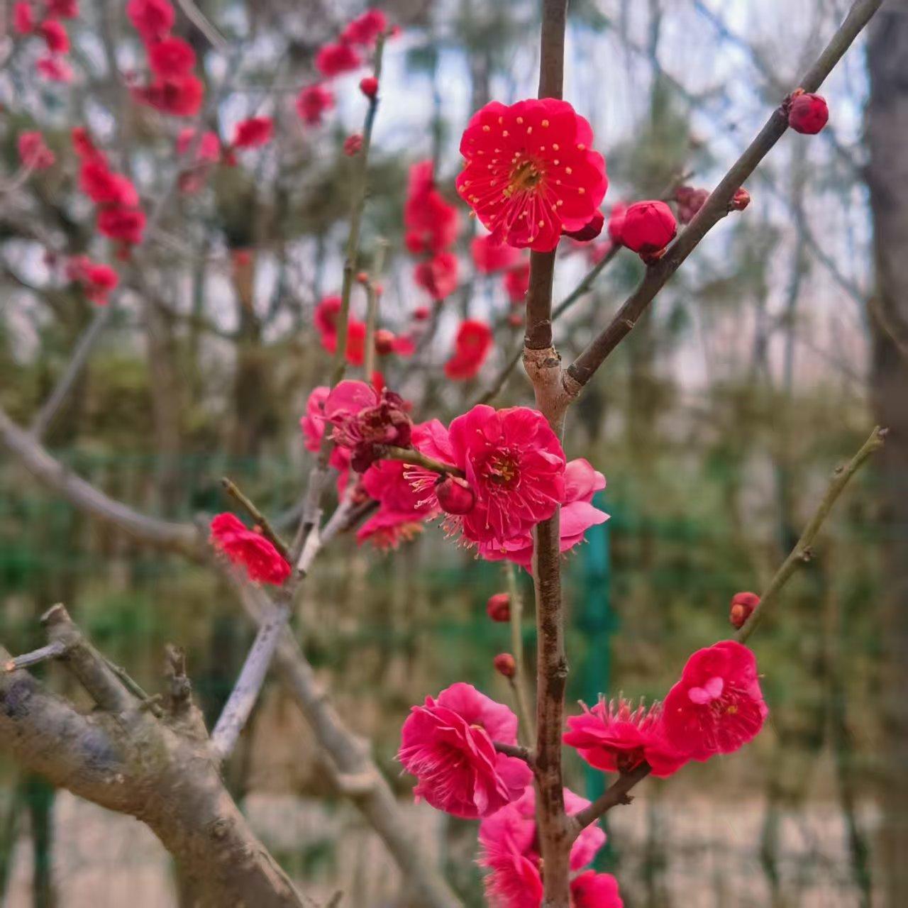 周五下午，一个小同事问我:“姐，我看你平时不玩游戏啊”，我回:“我也玩，只不过咱