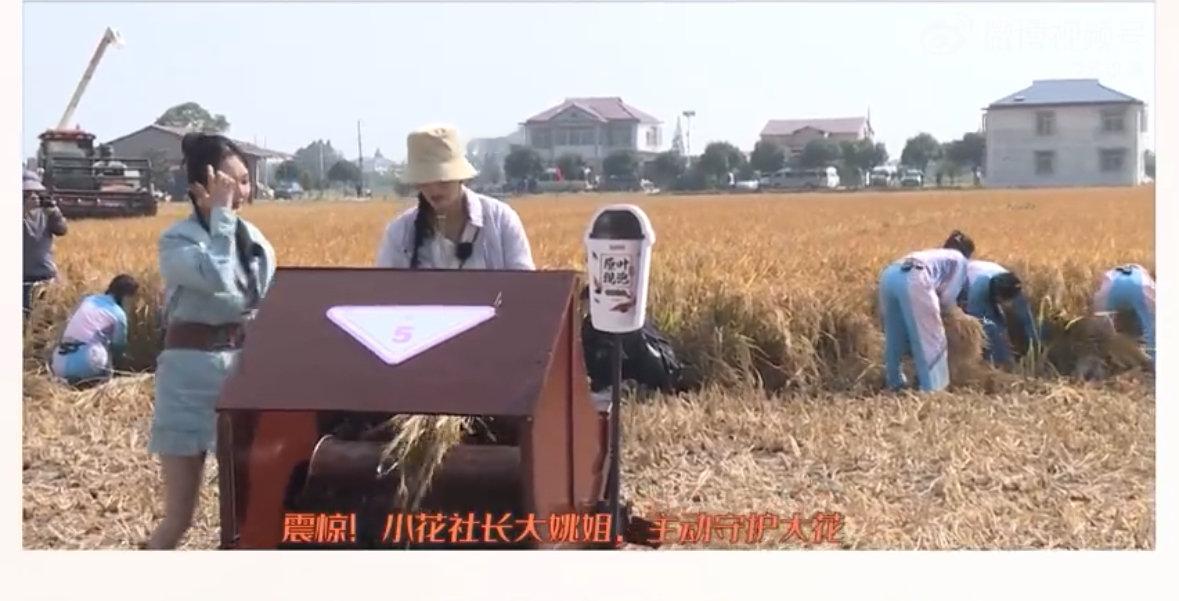 #姚晨踩打谷机演赶早高峰的我# 大姚姐踩打谷机好似我在早高峰中冲锋，火花带闪！《
