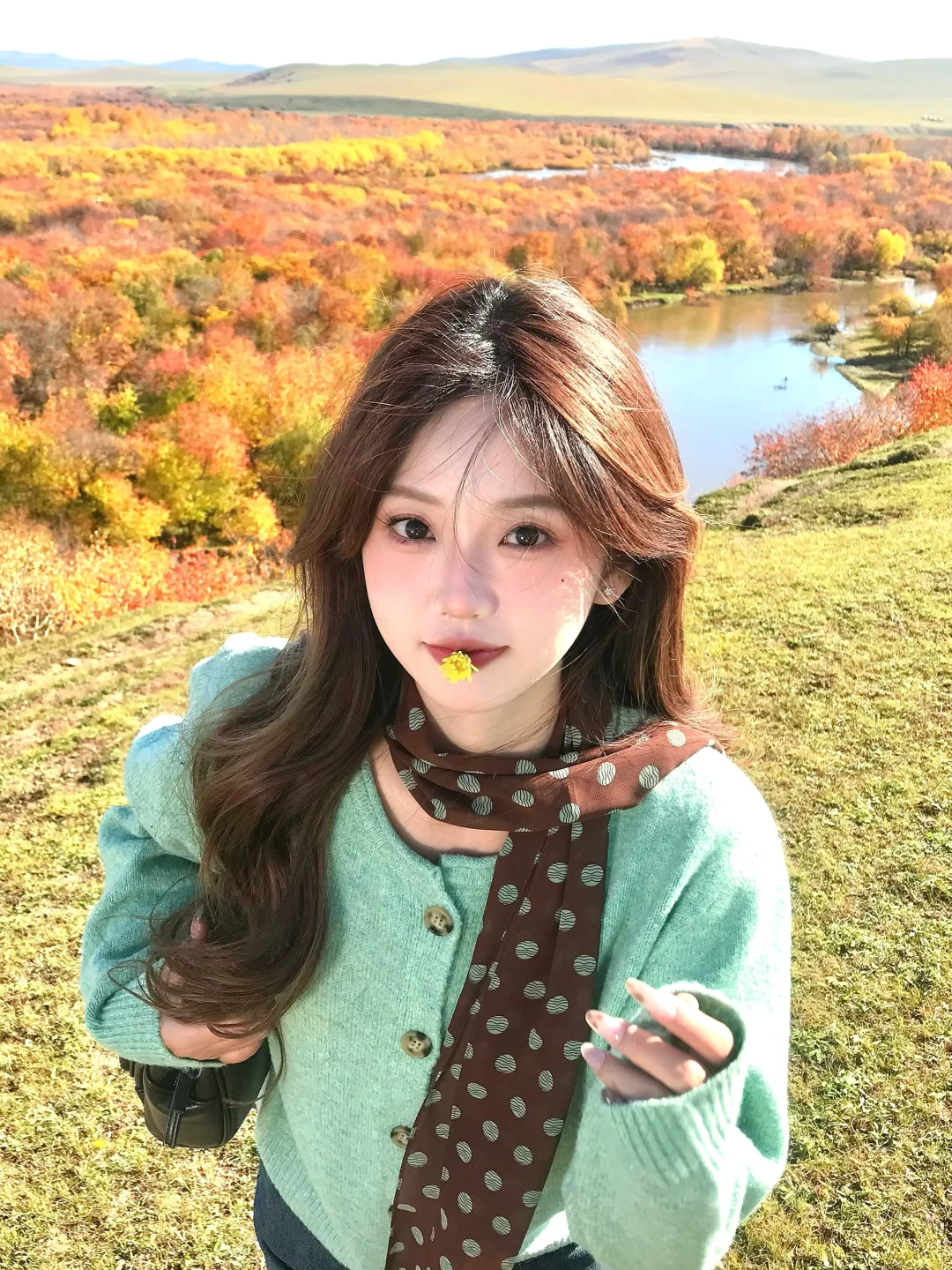 🍂✨在秋天的气息里