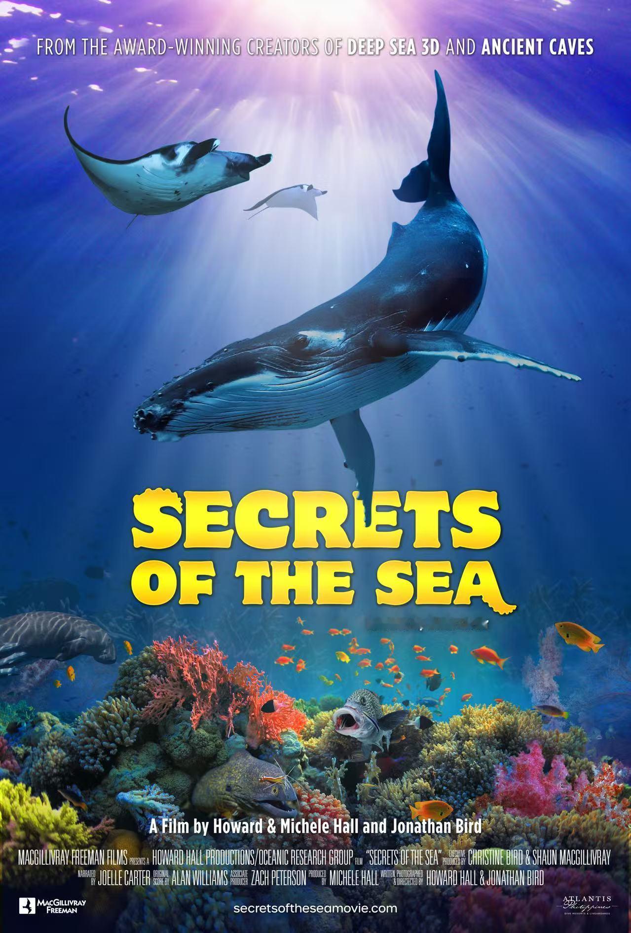 北京中国电影博物馆明天起全国独家上映两部IMAX科教片，《海洋之谜》与《飓风》，