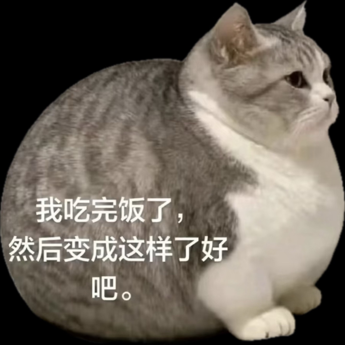 超话热度差最后2k‼️大家既然都在那就打开超话一人发5️⃣贴 尽快搞完才能安心看