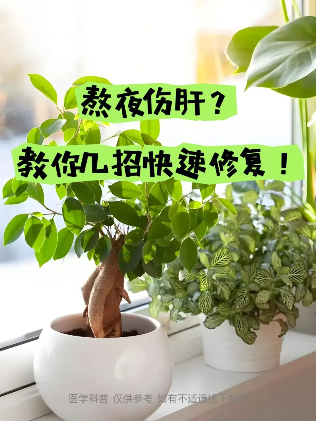 熬夜伤肝怎么办？别慌！教你几招快速修复！