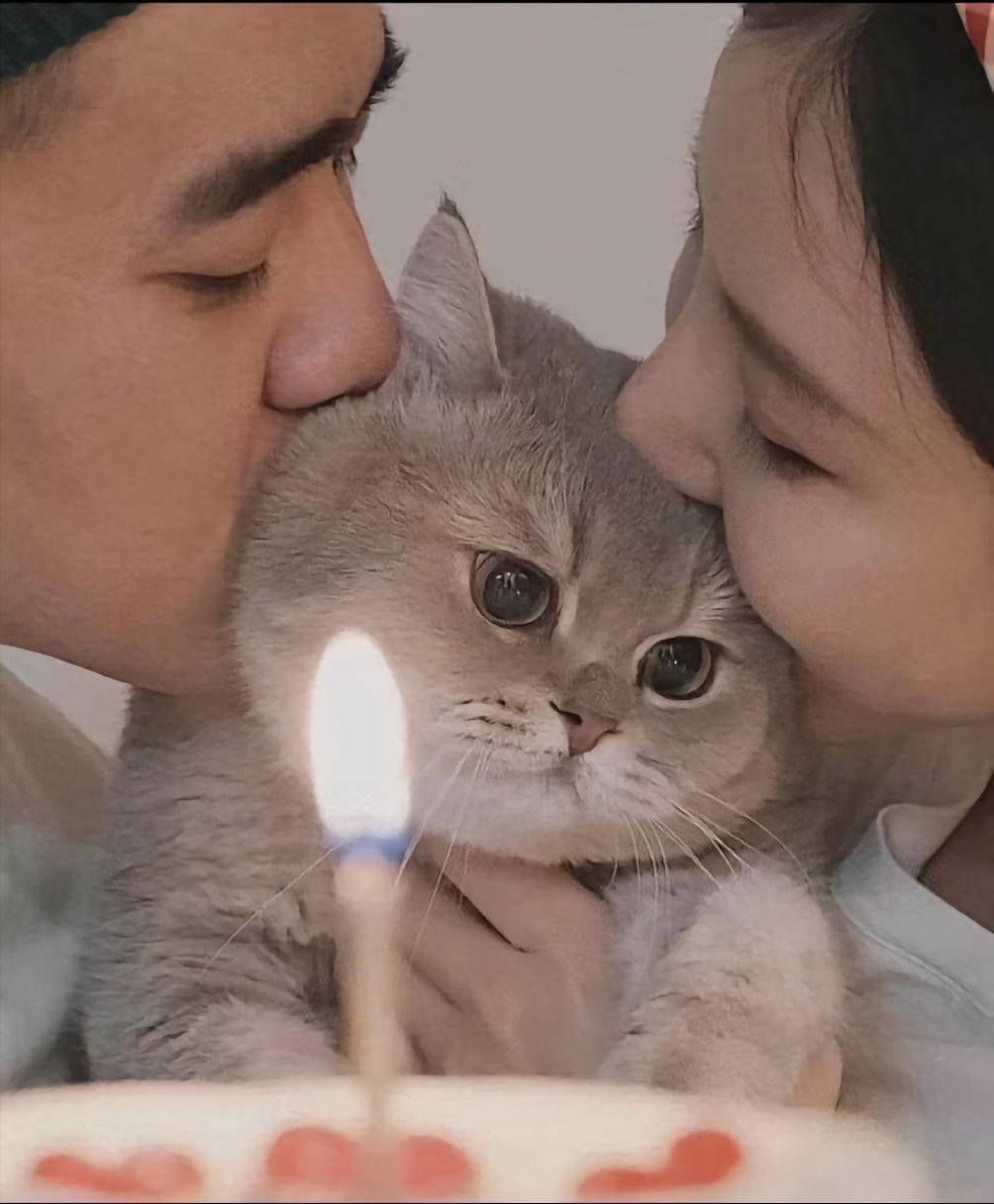 幸福的毛娃娃[抱一抱]​​​