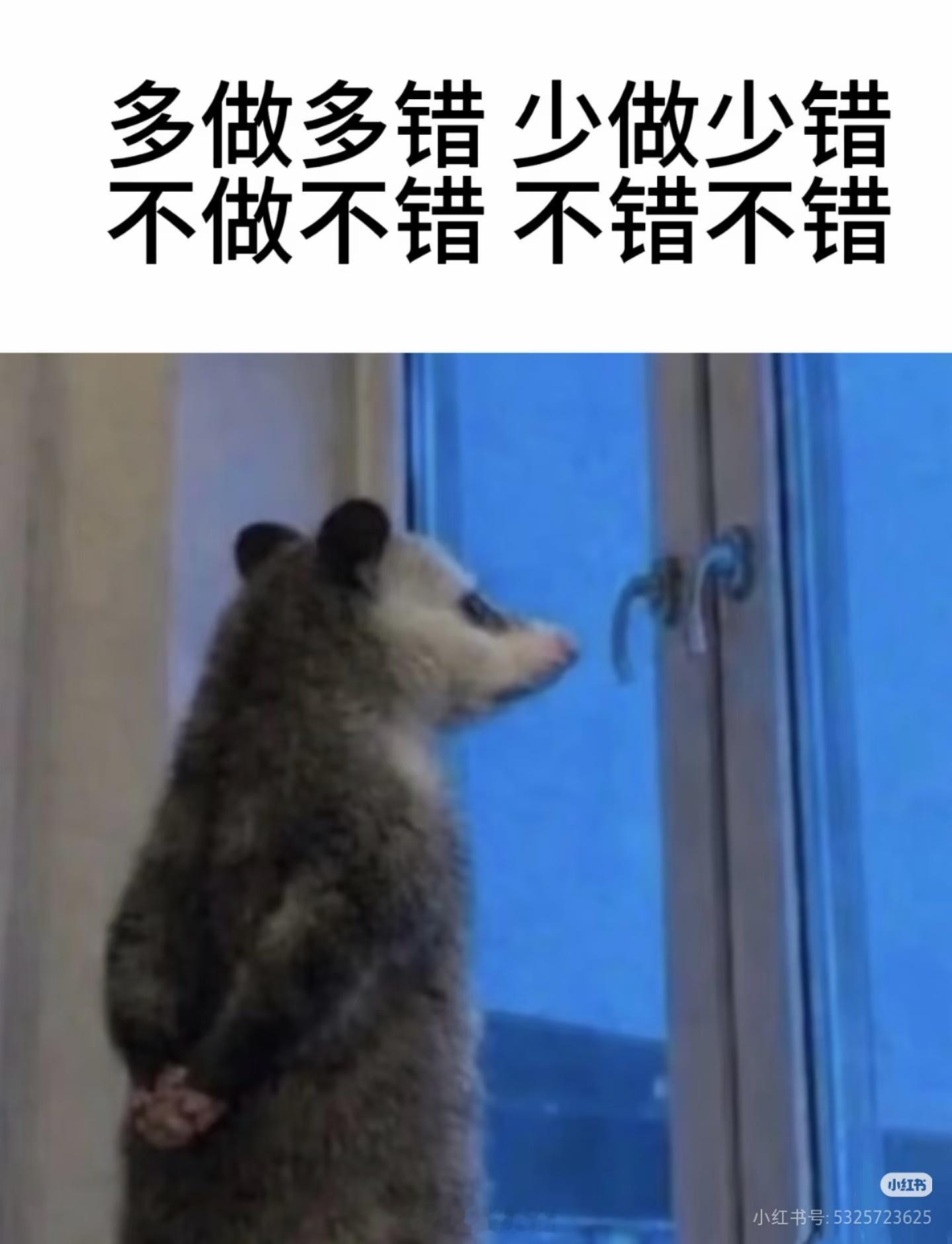 出门唱歌，结束的时候正好放到新宝岛，太过兴奋一个扭腰狠狠的把腰闪了。现在躺在床上
