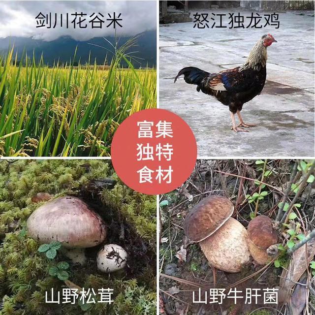 ✅野生松茸、牛肝菌🍄纯地道云南食材，用料丰富，汤大口喝光！✅剑川花谷米米线🍜